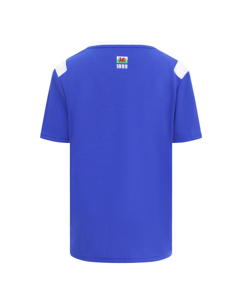 Cardiff City 26/27 Home Jersey - Fan Version