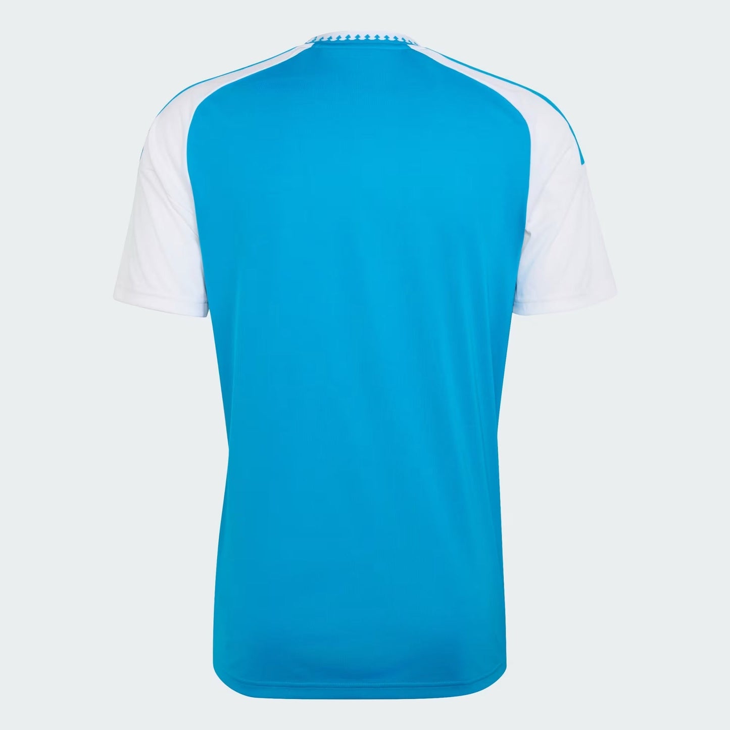 Charlotte 26/27 Home Jersey - Fan Version