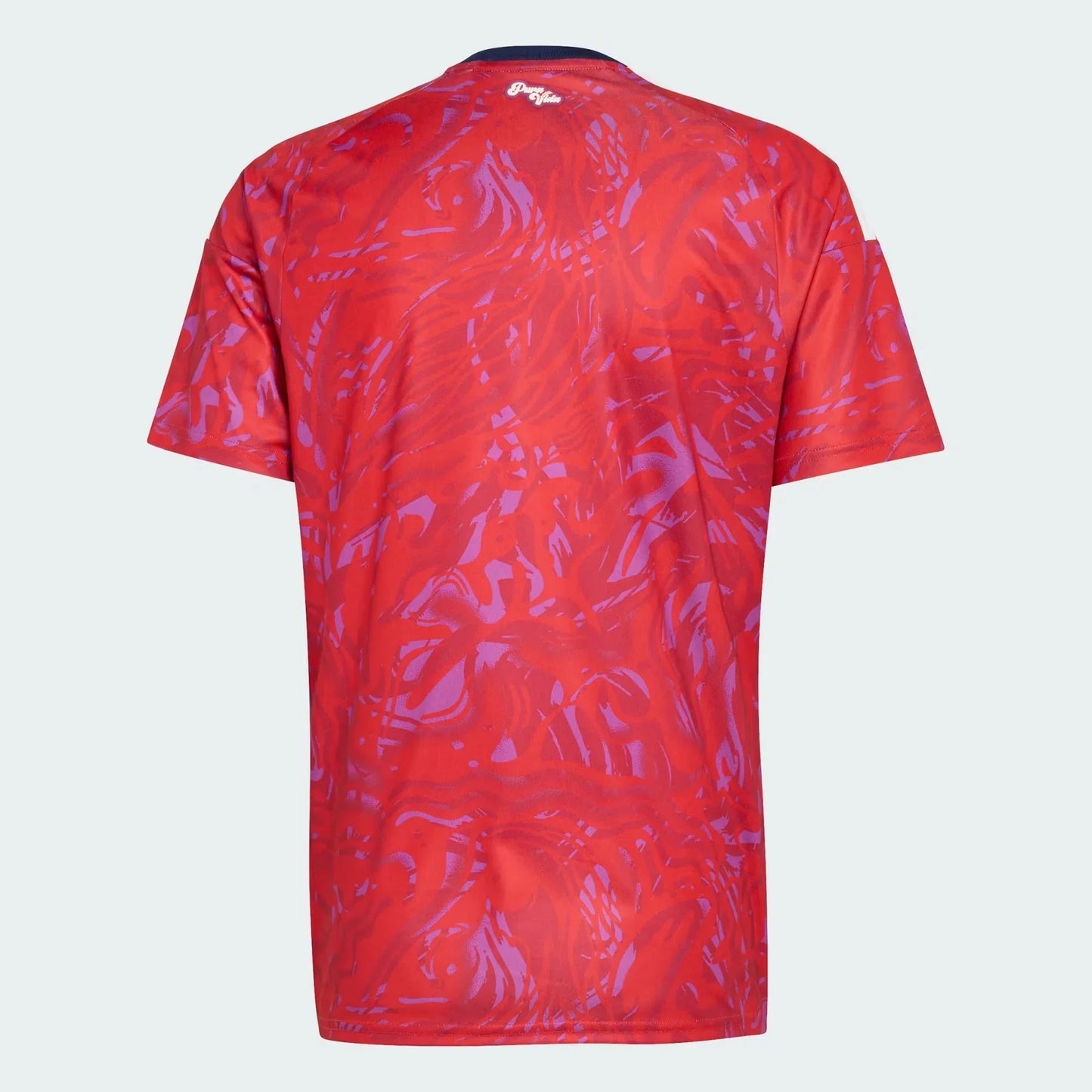 Costa Rica 2026 Home Jersey - Fan Version