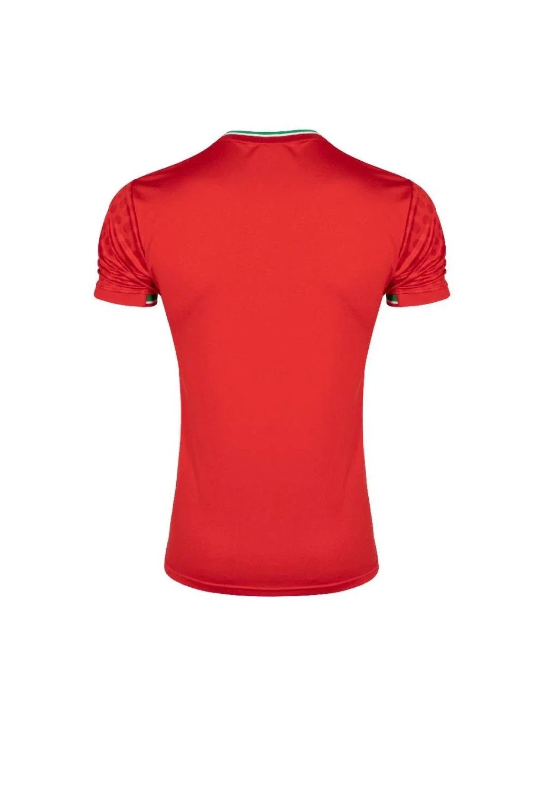 Iran 2026 Away Jersey - Fan Version