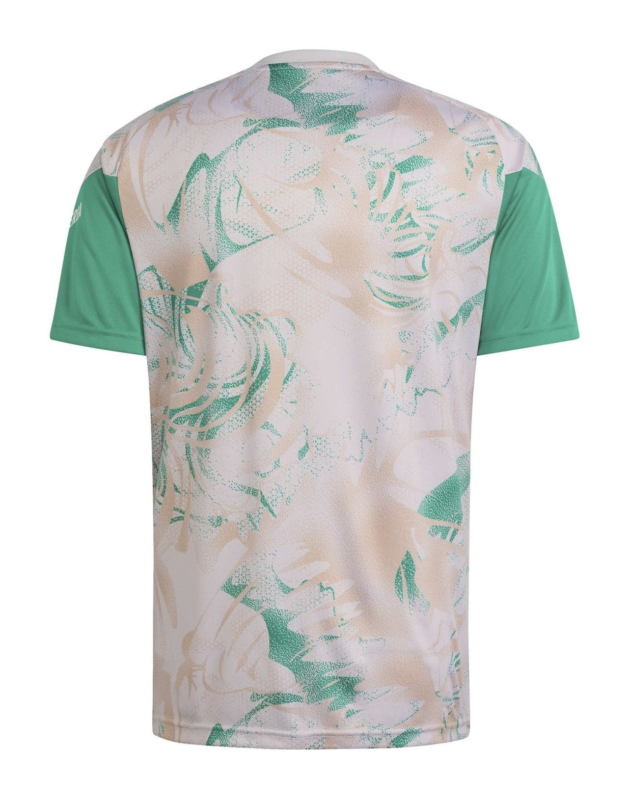 Algeria 2026 Pre-Match T-Shirt - Green