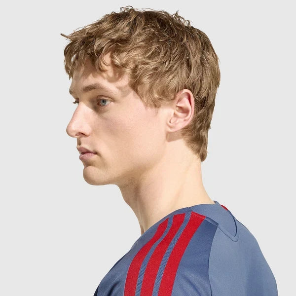 Bayern Munich 26/27 Training Shirt - Preloved Ink/Night Indigo