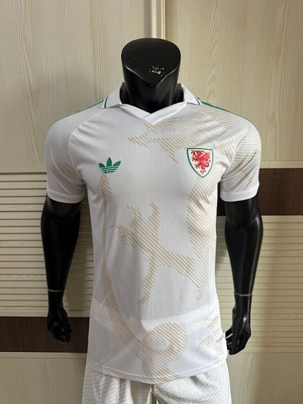 Wales 2026 Away Jersey - Player Version