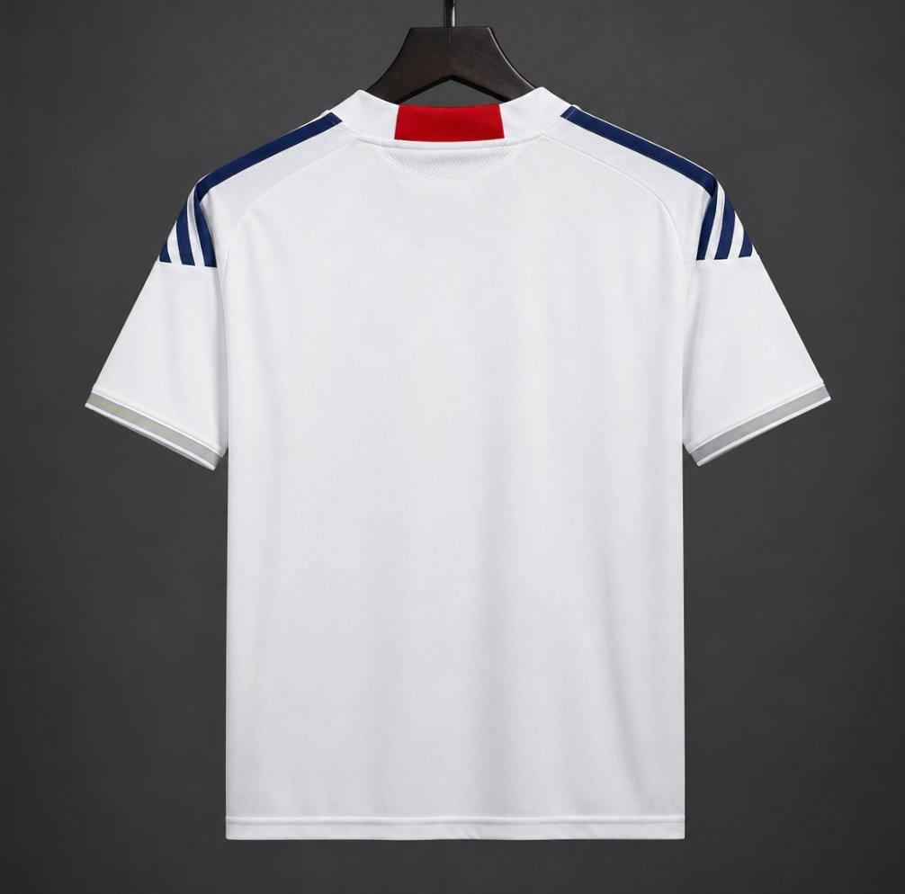 Japan 2010 Away Retro Shirt