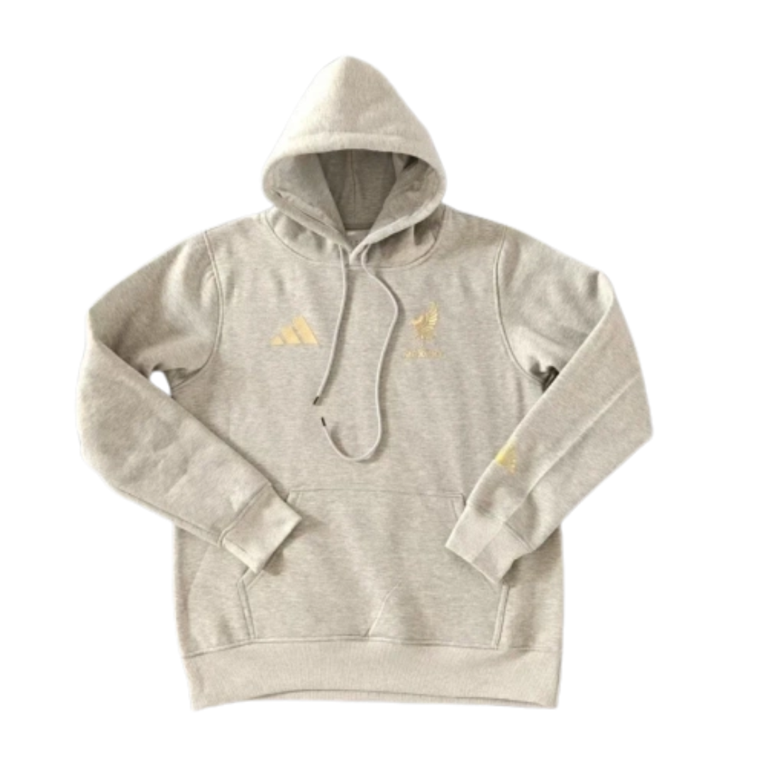 Mexico 2025/26 Team Hoodie - Grey