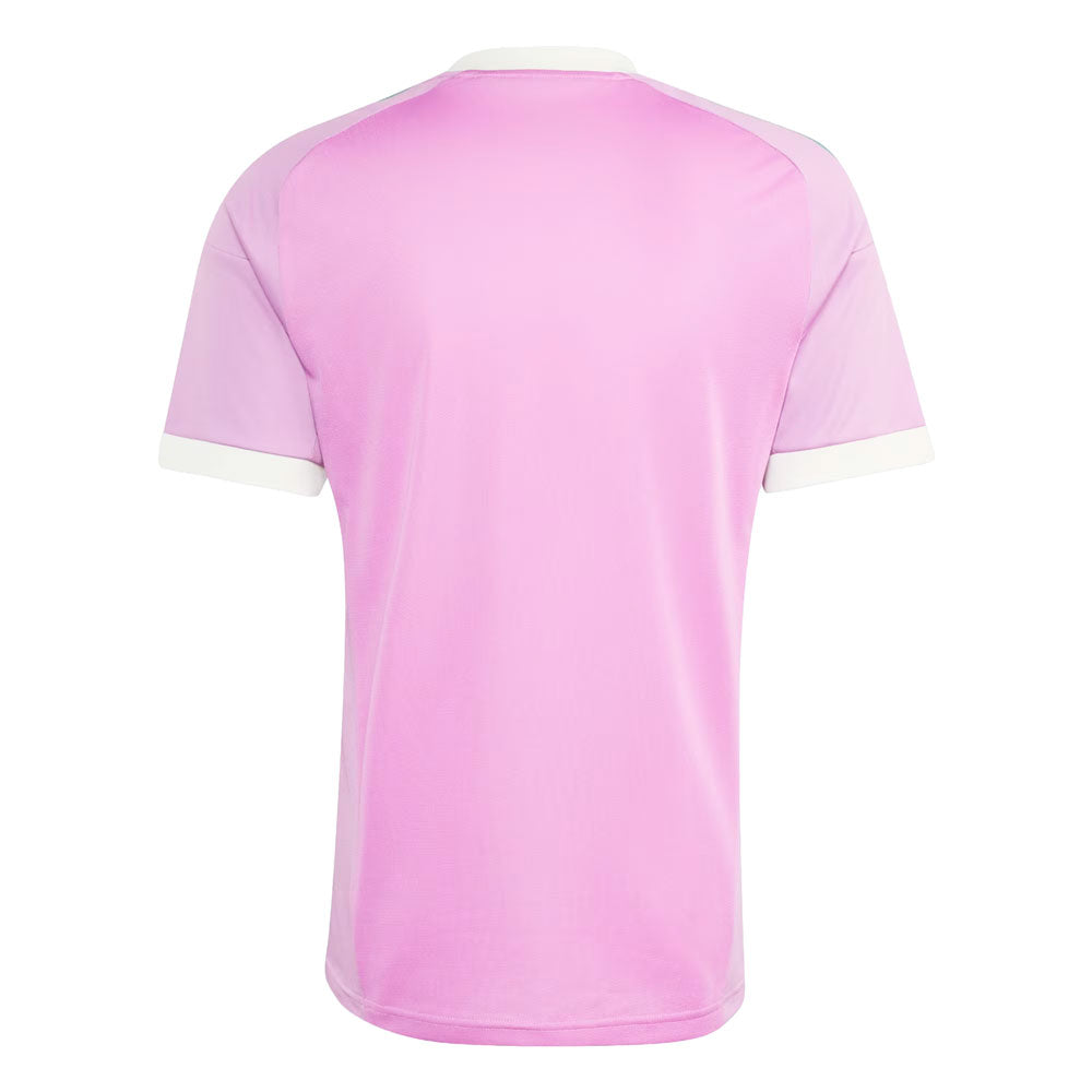 Manchester United 26/27 Goalkeeper Jersey - Fan Version