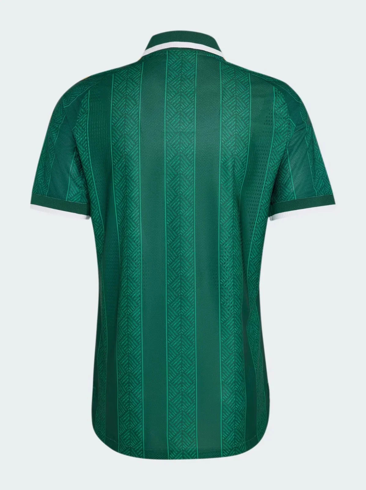 South Africa 26/27 Away Jersey - Fan Version