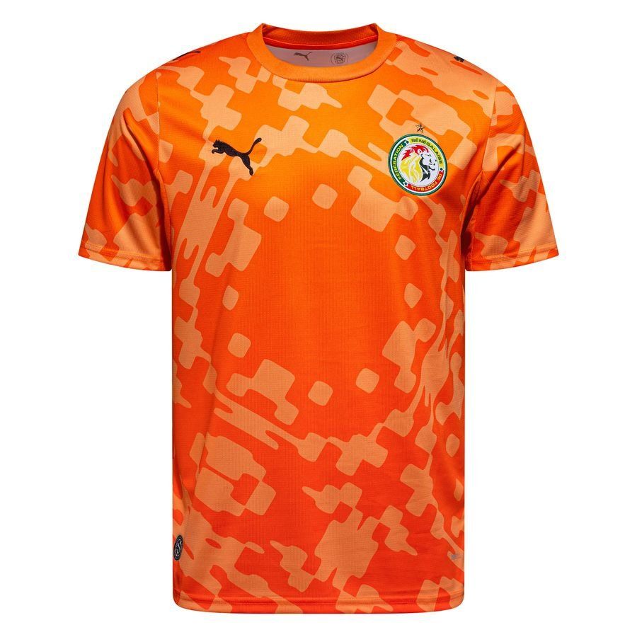 Senegal 2026 Goalkeeper Jersey - Fan Version