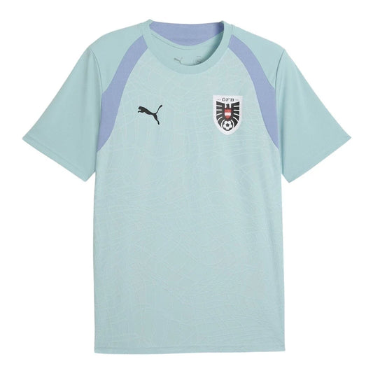Austria 2026 Pre-Match Stadium T-Shirt - Blue