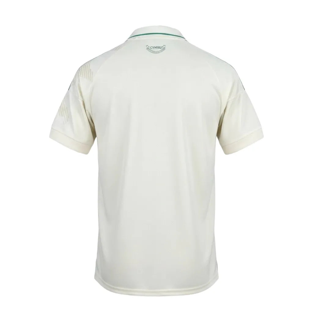 Wales 2026 Away Jersey - Fan Version