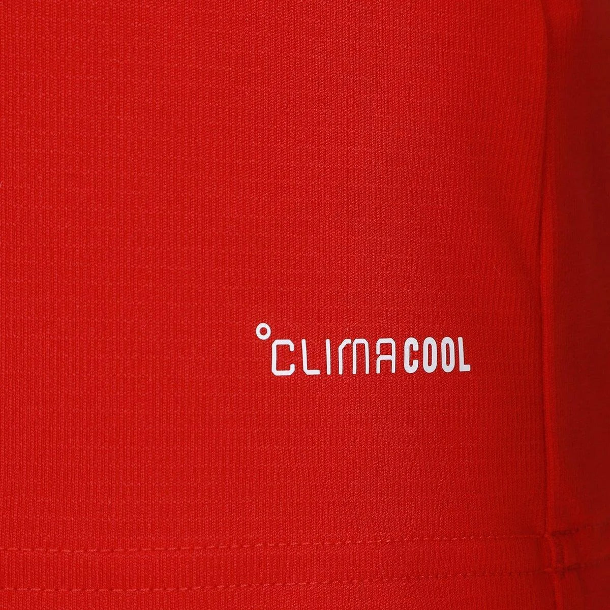 Wales 2026 Home Jersey - Fan Version