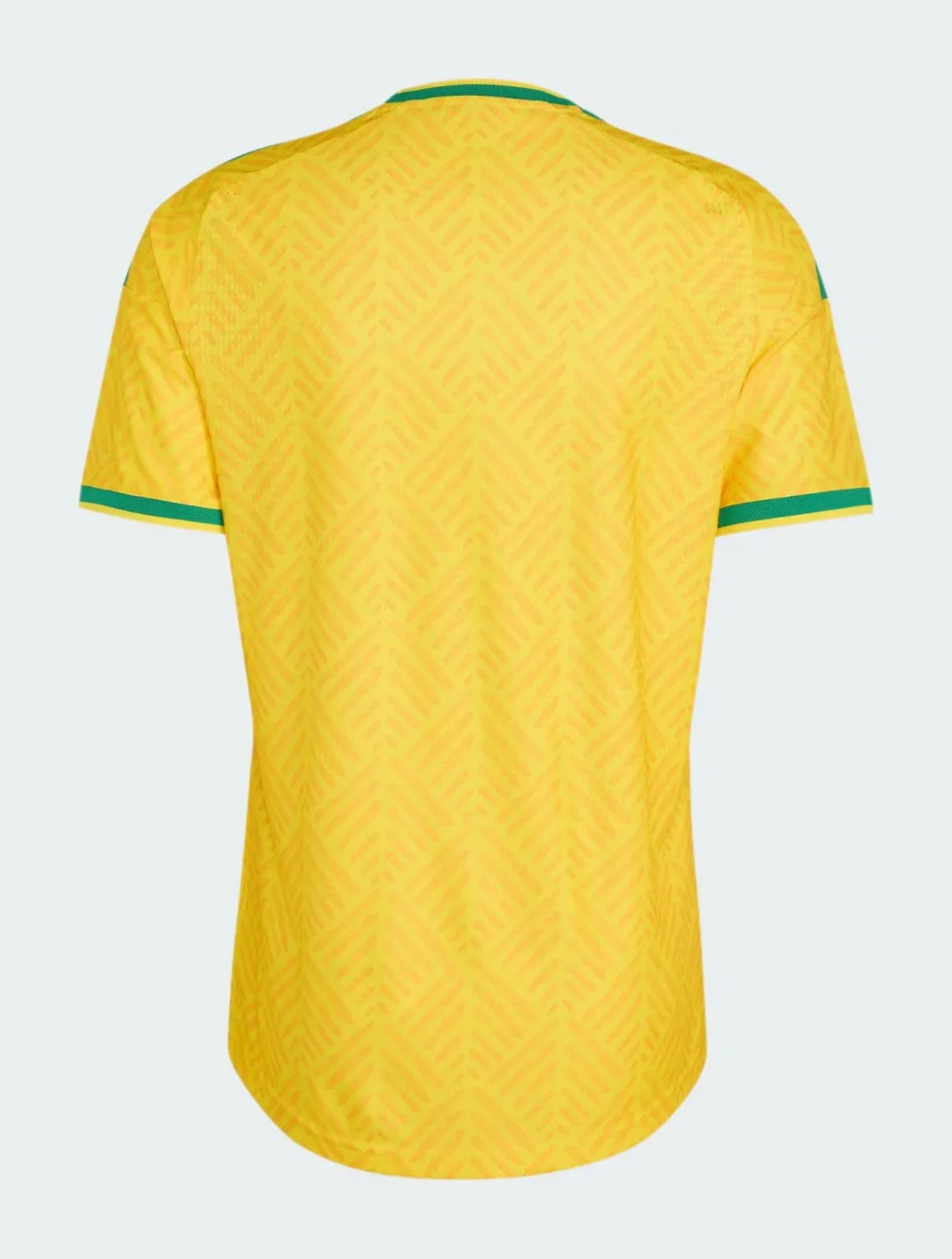South Africa 26/27 Home Jersey - Fan Version