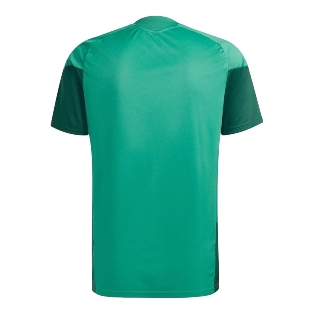 Algeria 2026 Training T-Shirt - Green/Red